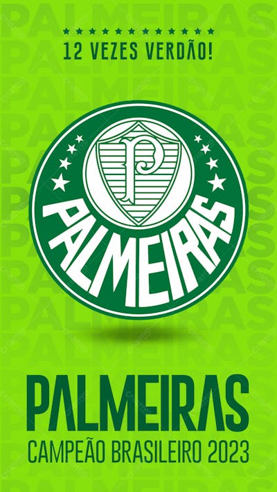 Palmeiras Campeão 2023R 5Y