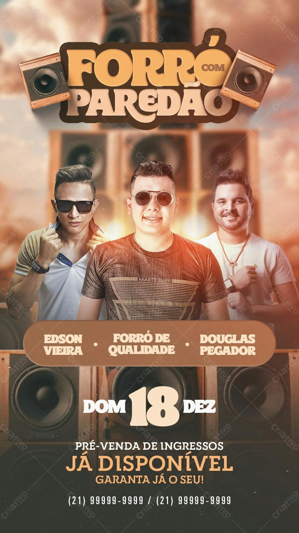 Flyer Forró Com Paredão Story