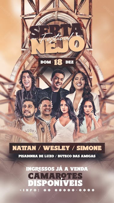 Flyer sertanejo festival story