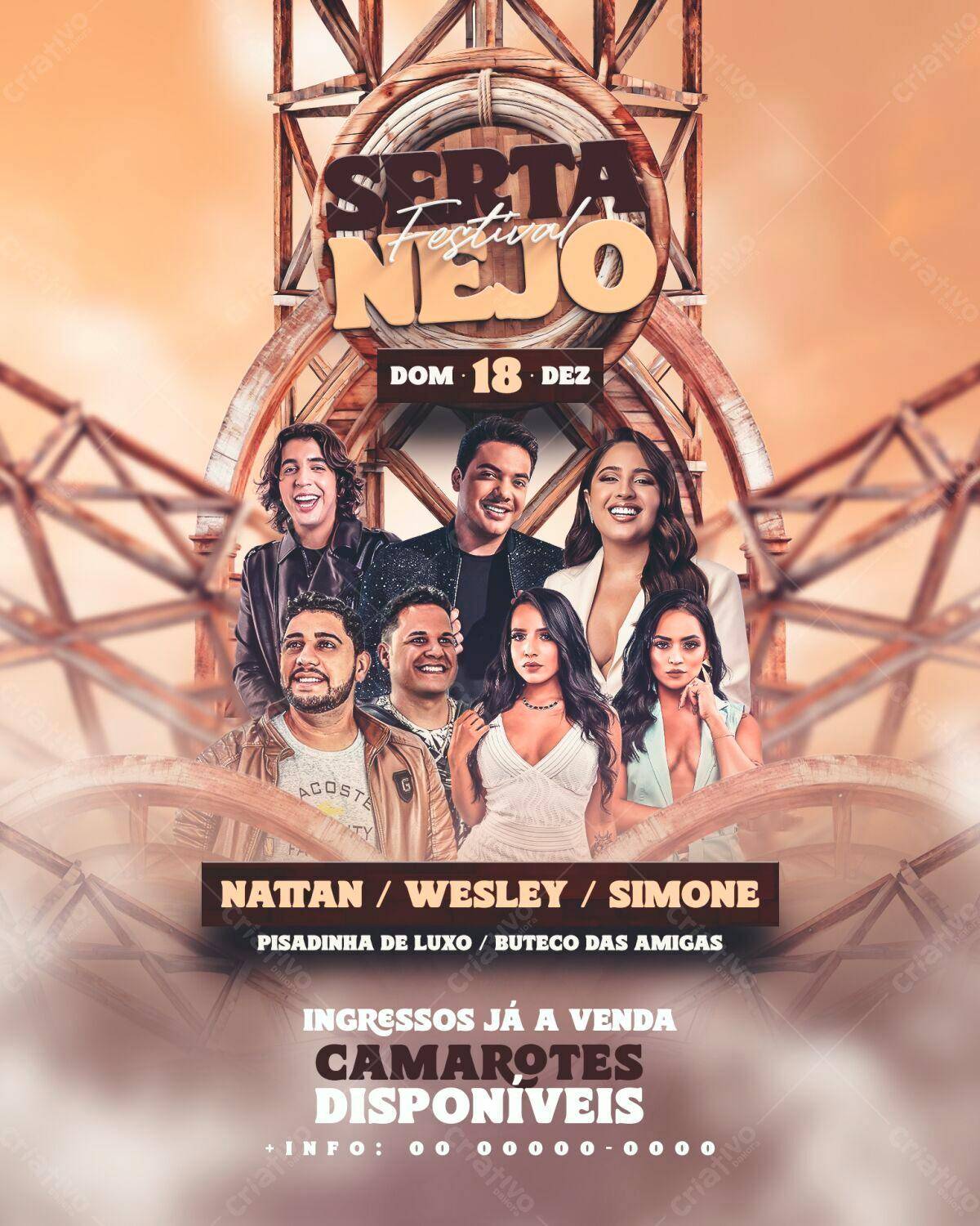 Flyer Festa Sertaneja PSD Editável