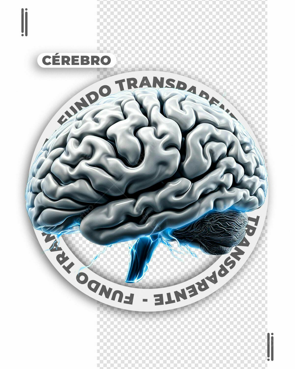 PSD Cérebro para Neurologia e Saúde Mental PSD Editável