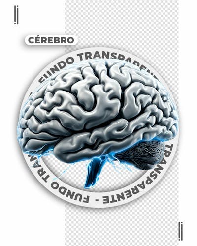 CÉREBRO 3D BRANCO COM DETALHES EM AZUL | IMAGEM SEM FUNDO | PSD EDITÁVEL
