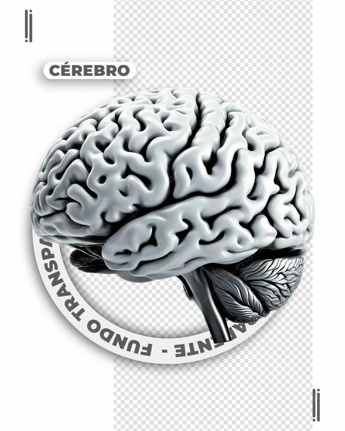Imagem Cérebro para Estudos Médicos PSD Editável