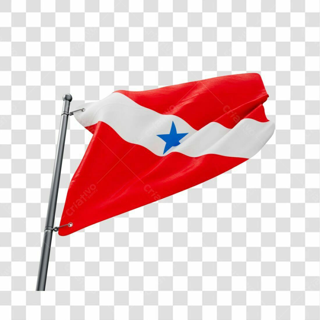 Bandeira Paraense PNG com fundo transparente