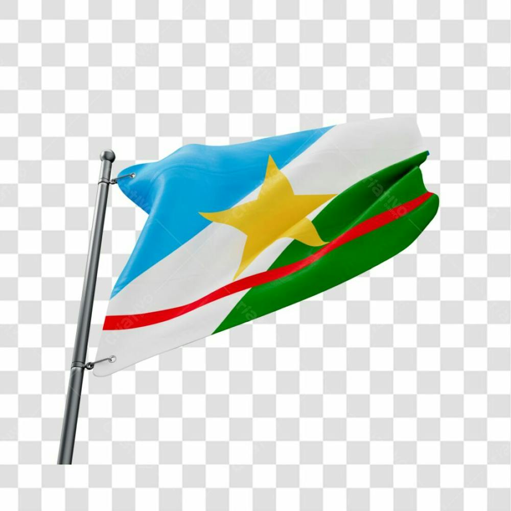 Bandeira Estado Roraima Em 3D Fundo Transparente