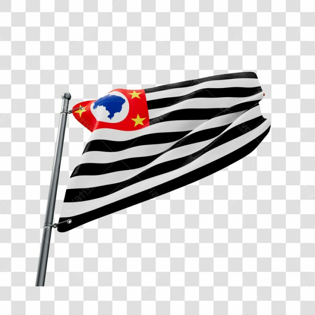 Bandeira Estado São Paulo PNG com fundo transparente