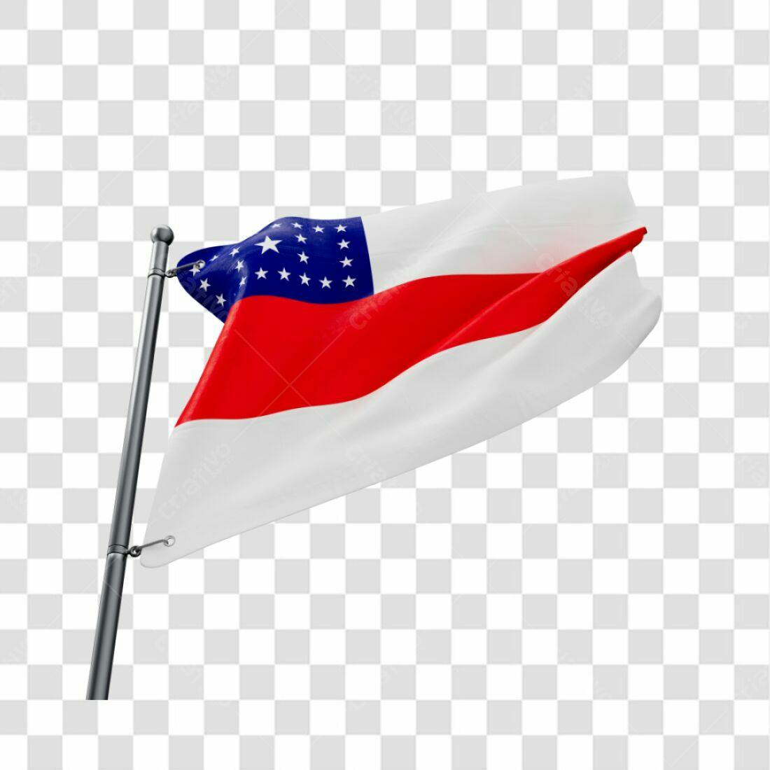 Bandeira Pará PNG com fundo transparente