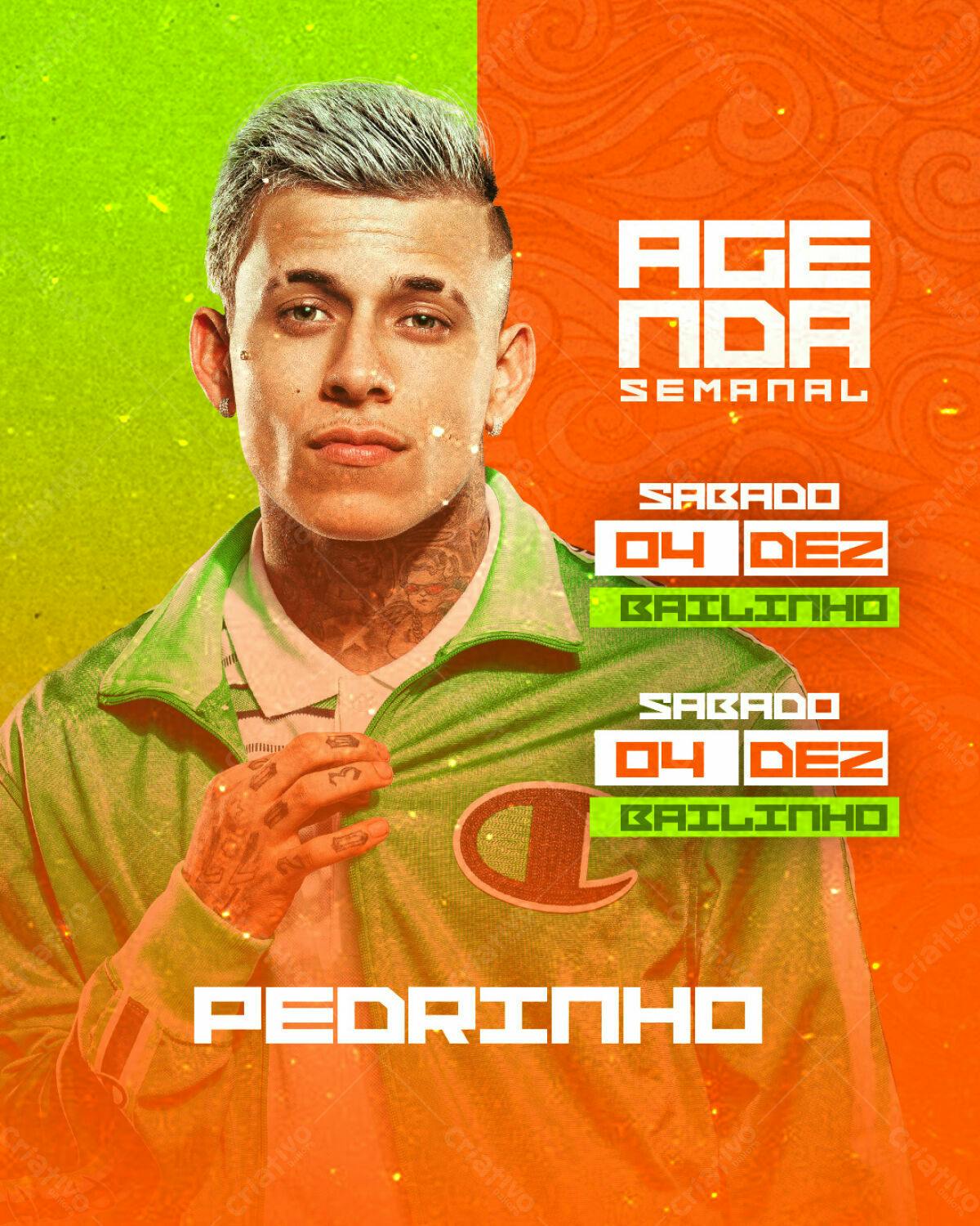 Flyer para Show do Pedrinho 04/Dez PSD Editável