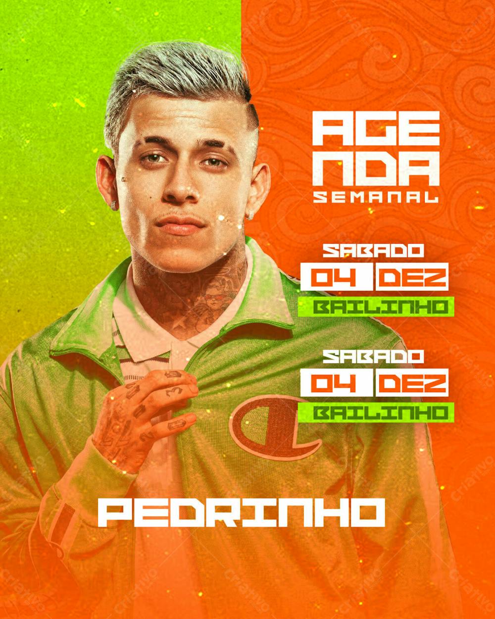 30   Flyer Artista Agenda De Shows Semanal Pedrinho Funk Mc Feed