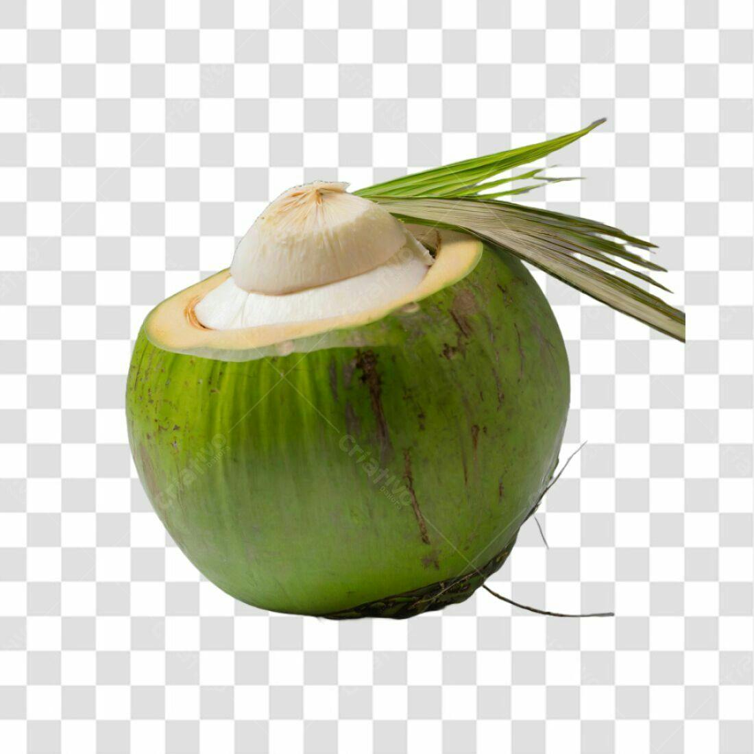 Icone de Coco Verde PNG com fundo transparente