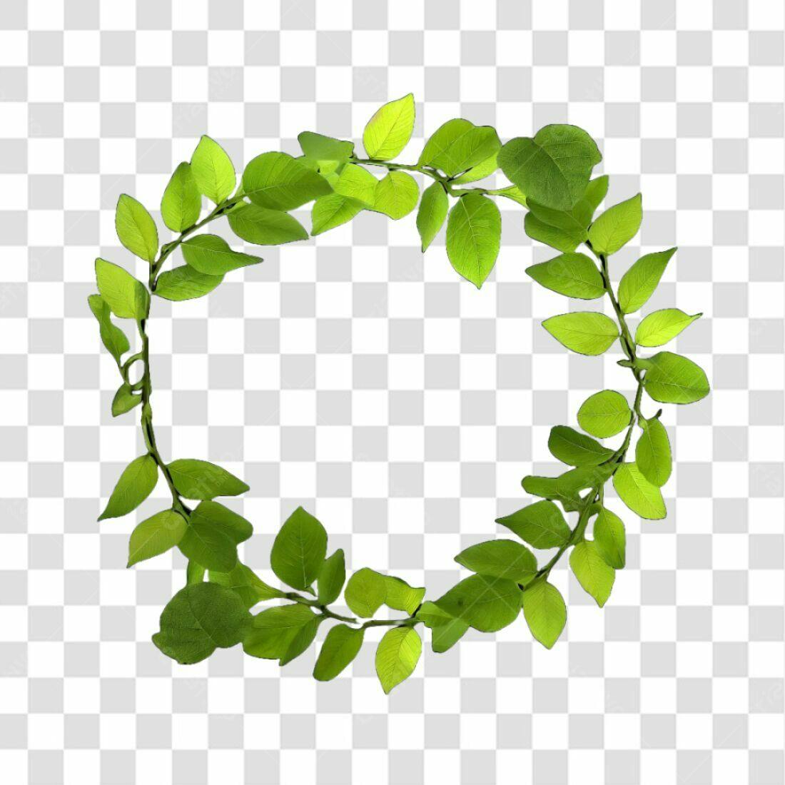 Moldura folhas verdes PNG com fundo transparente