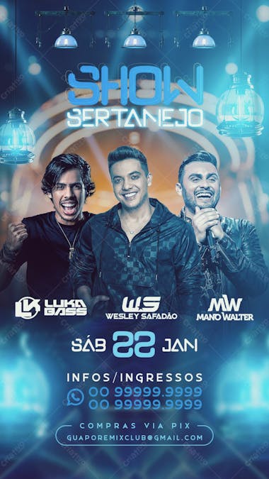 Flyer show sertanejo story