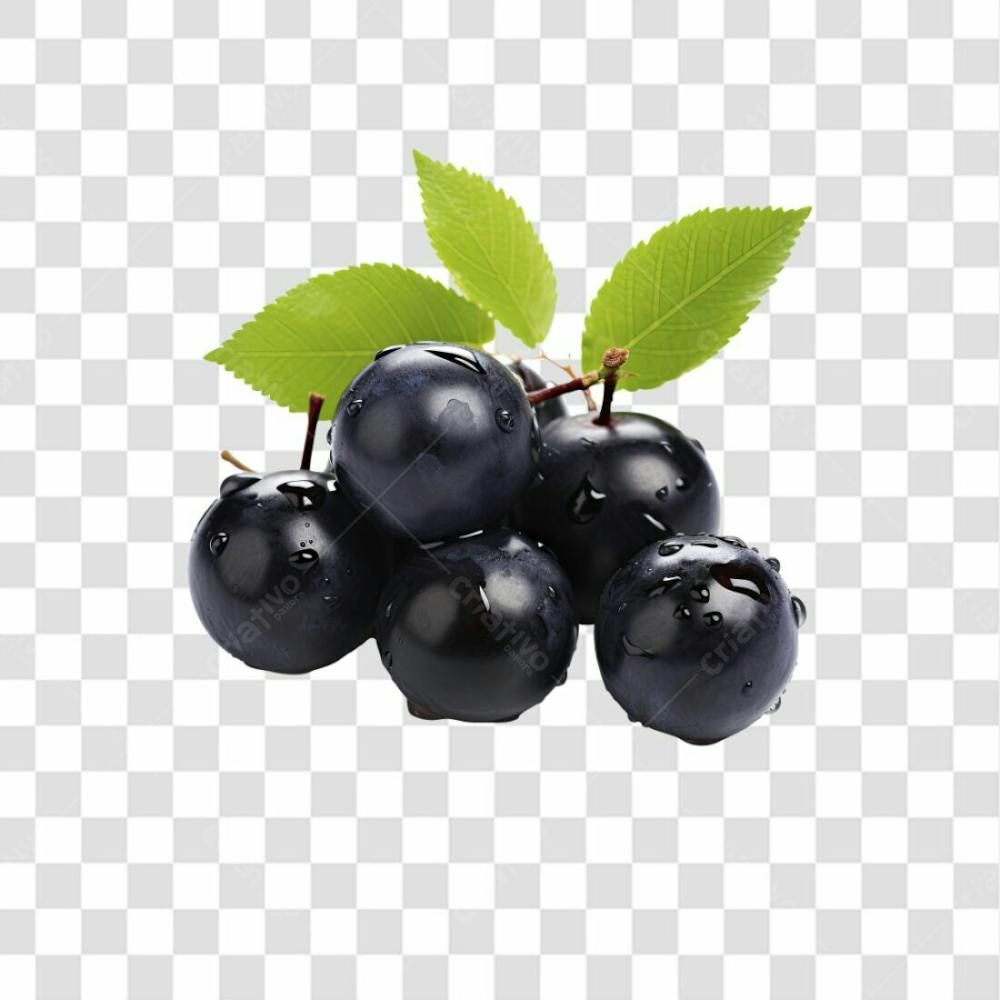 Imagem Hortifrutti   Jaboticaba Com Fundo Transparente   Cena 02