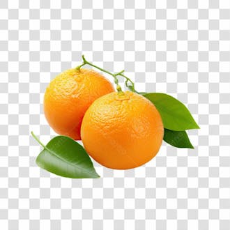Imagem hortifrutti laranja com fundo transparente cena 02