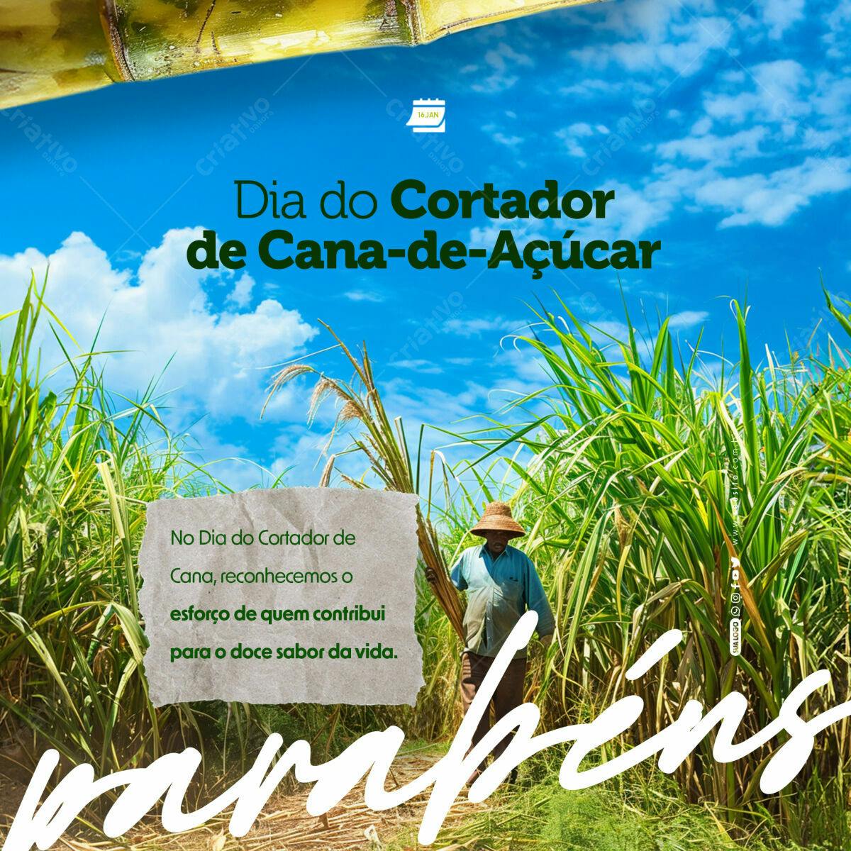 Post para o Dia do Cortador de Cana-de-Açúcar PSD Editável