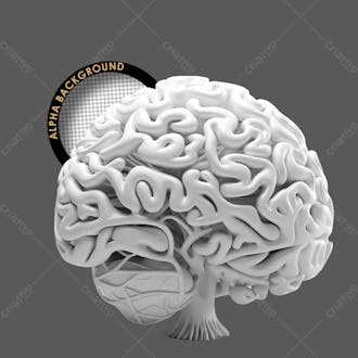 Elementoscérebro