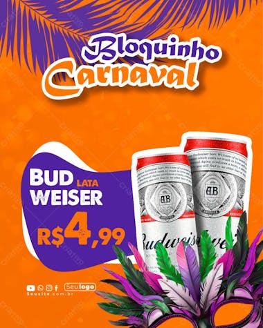 Carnaval budweiser lata feed