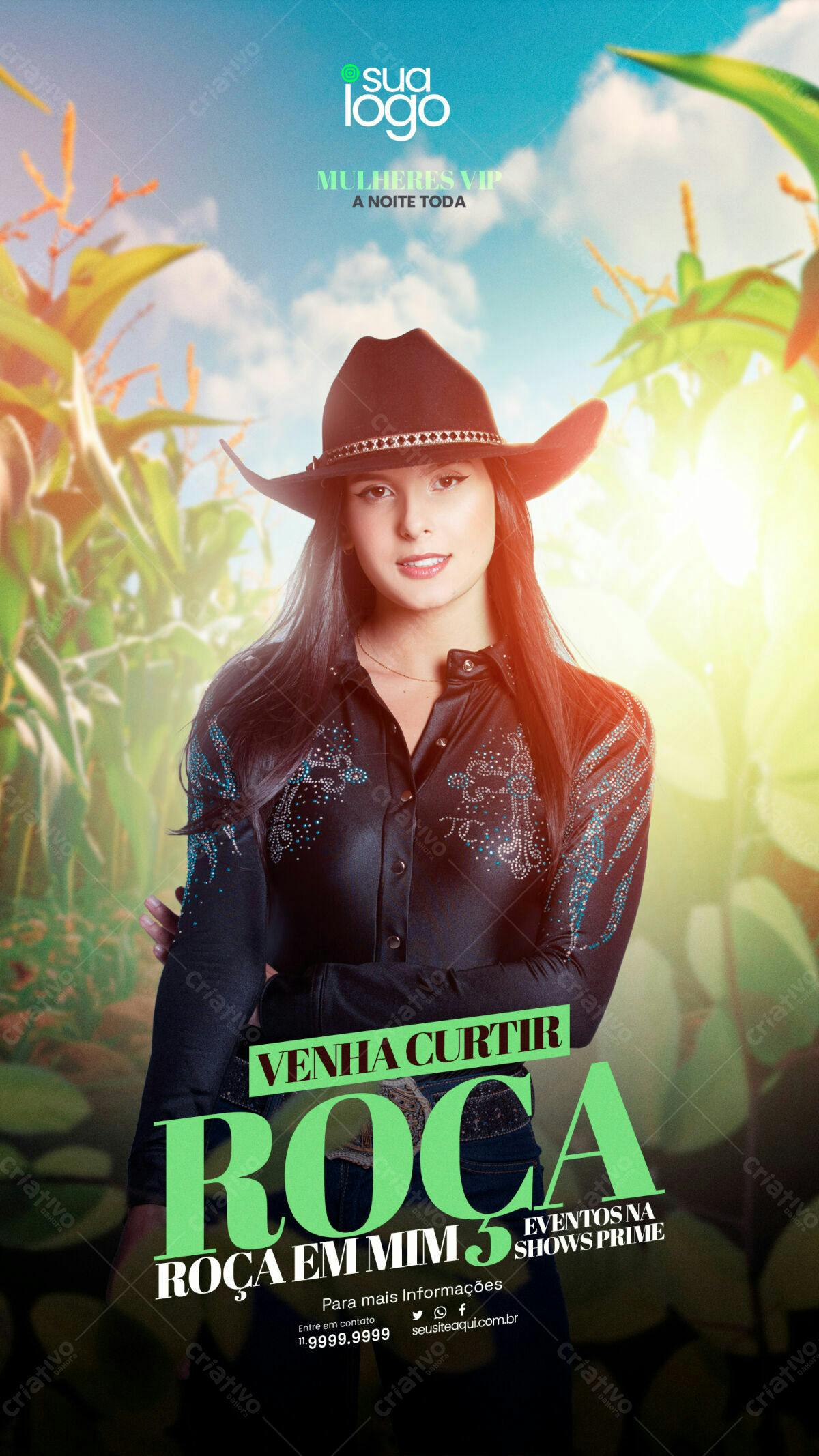 Flyer Festa Sertaneja PSD Editável