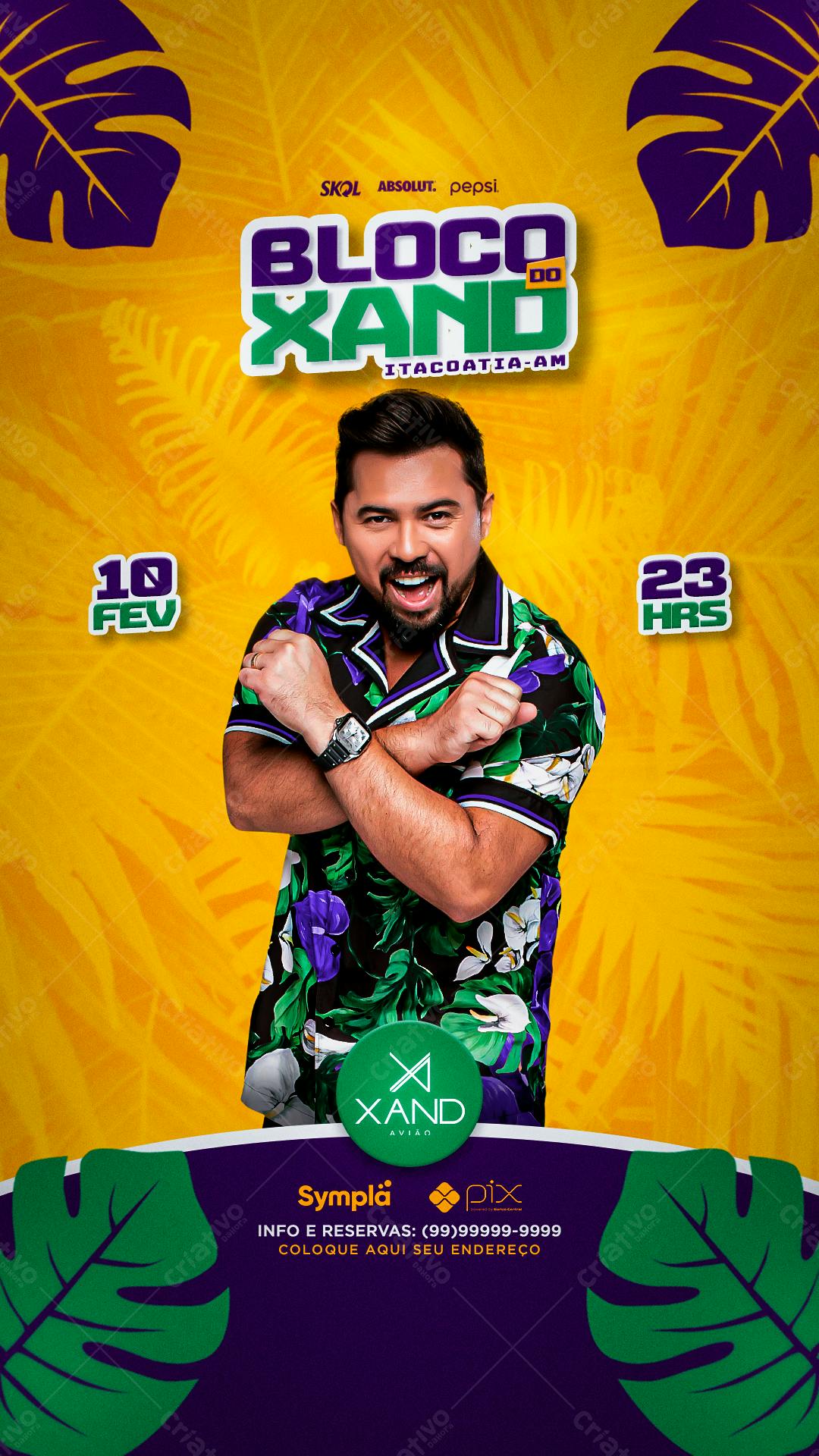 Flyer Bloco do Xand Avião PSD Editável