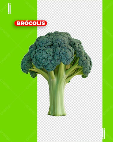 Brócolis | verduras | legumes | imagem sem fundo