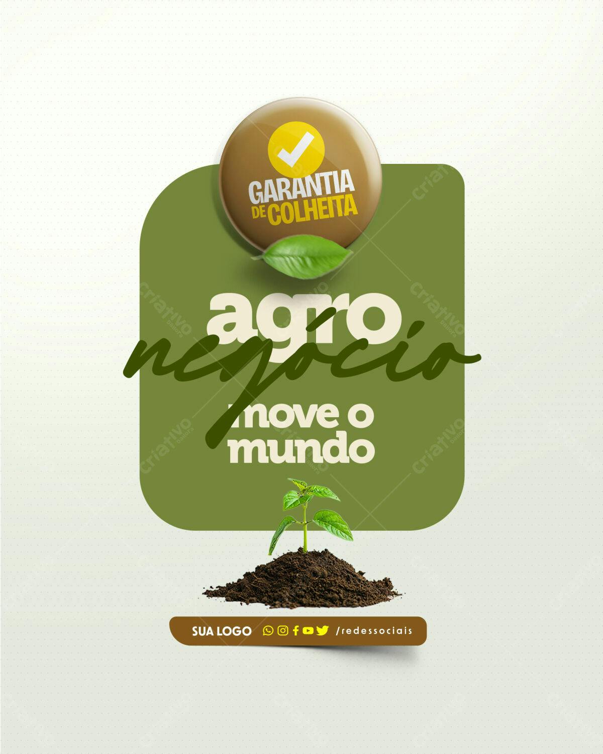 Flyer Agronegócio PSD Editável