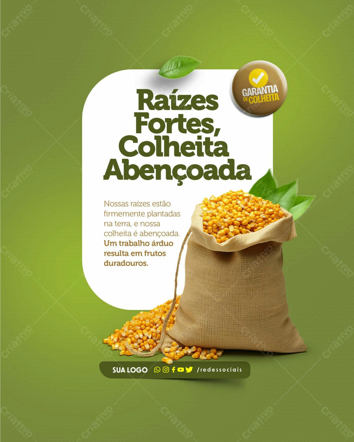 Post para Colheita Abençoada PSD Editável