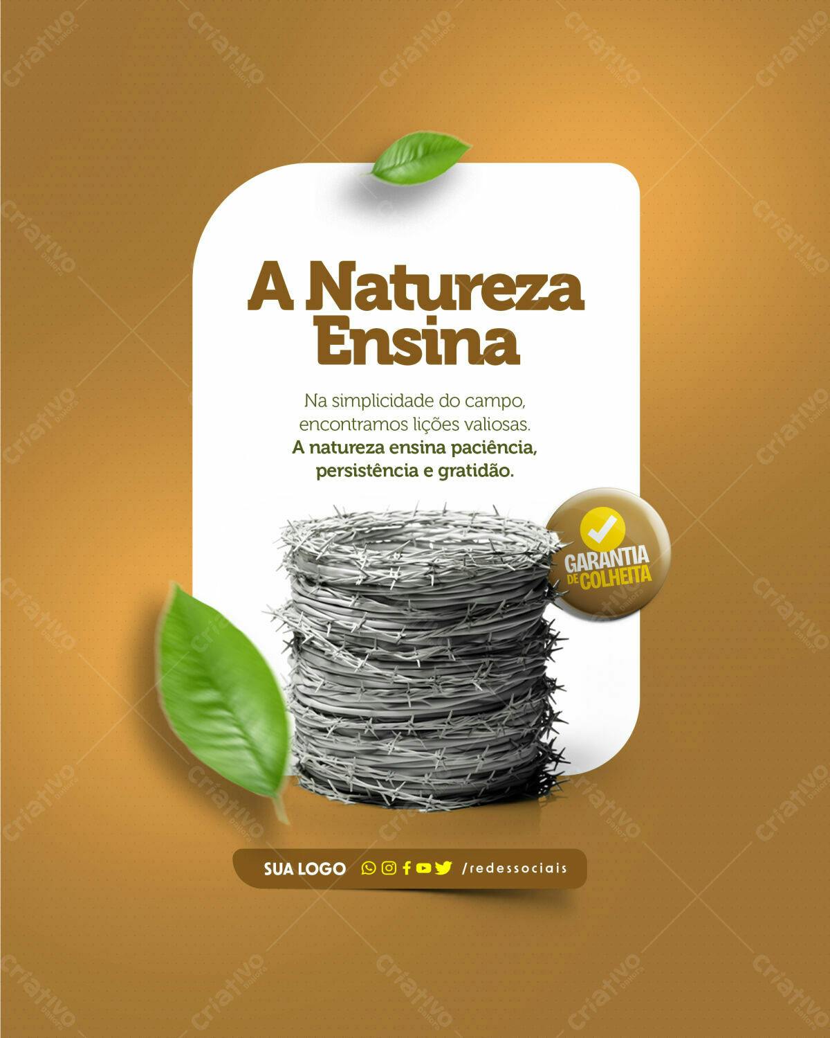 Post para Redes Sociais A Natureza Ensina PSD Editável