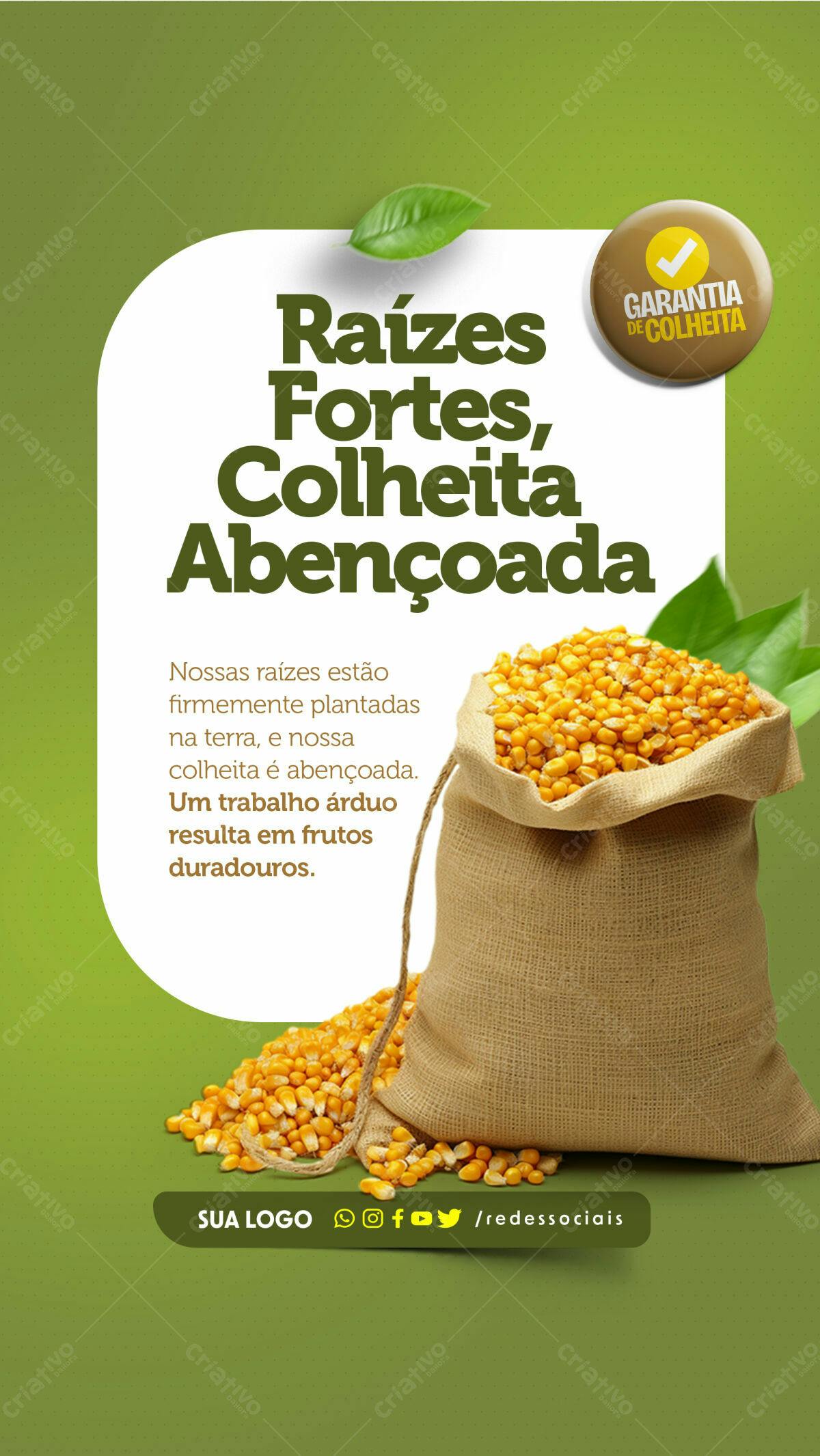 Flyer Agrícola Colheita Abençoada PSD Editável