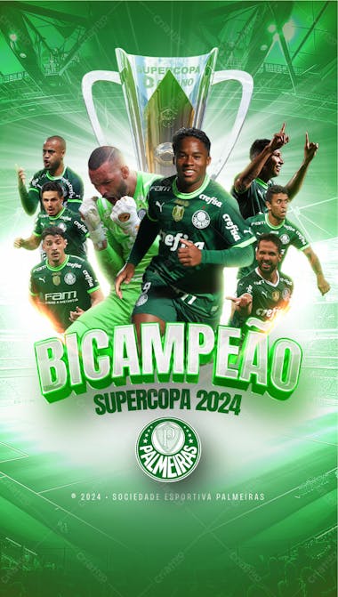 Story palmeiras bicampeão supercopa 2024