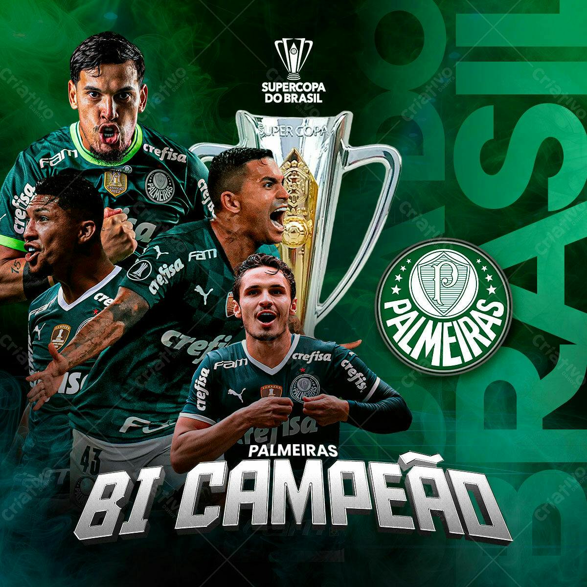 Flyer Palmeiras Bi-Campeão PSD Editável