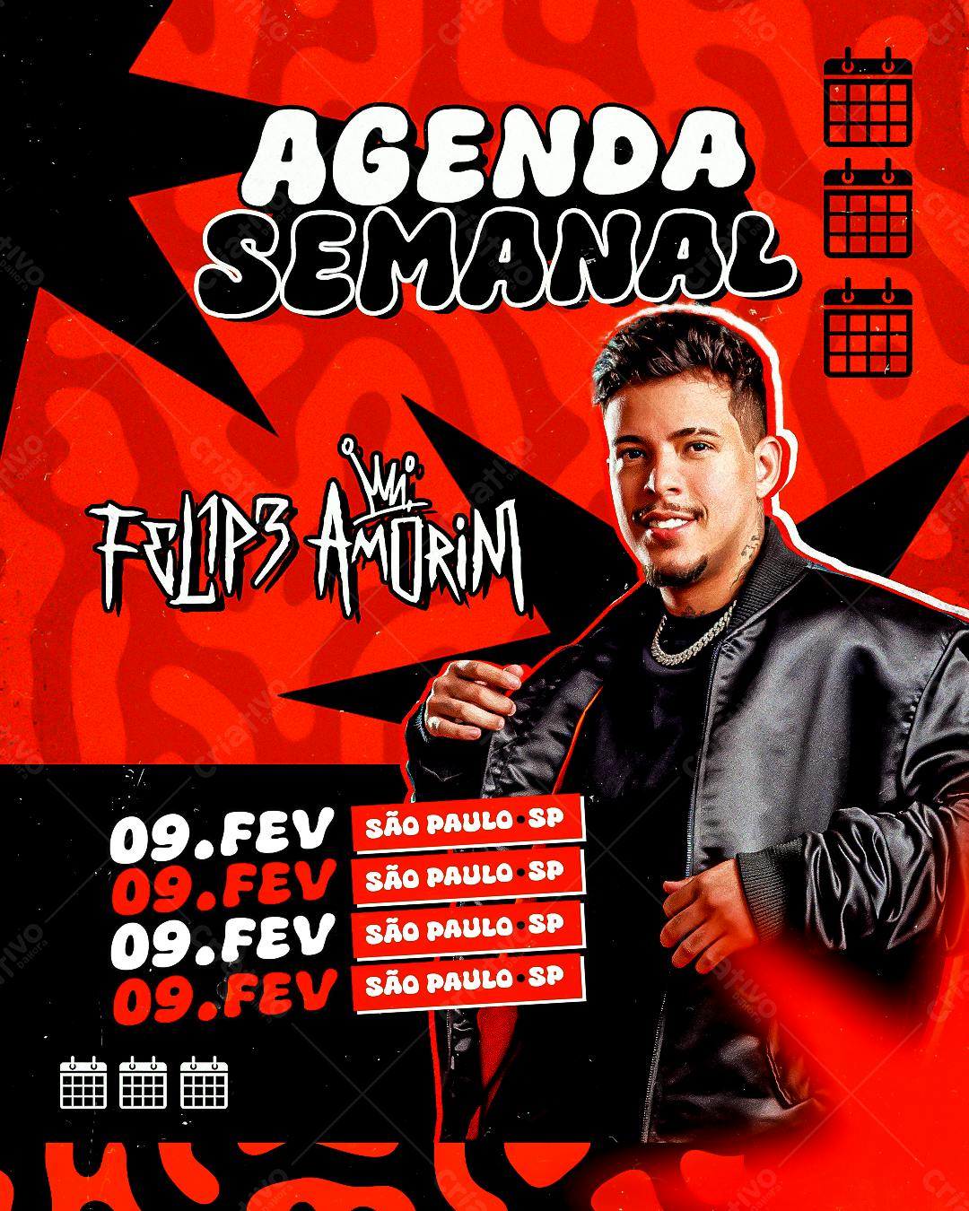 Flyer para Show Felipe Amorim PSD Editável