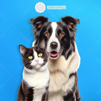 Cachorro e gato png fundo transparente em alta qualidade