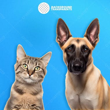 Cachorro e gato png fundo transparente em alta qualidade