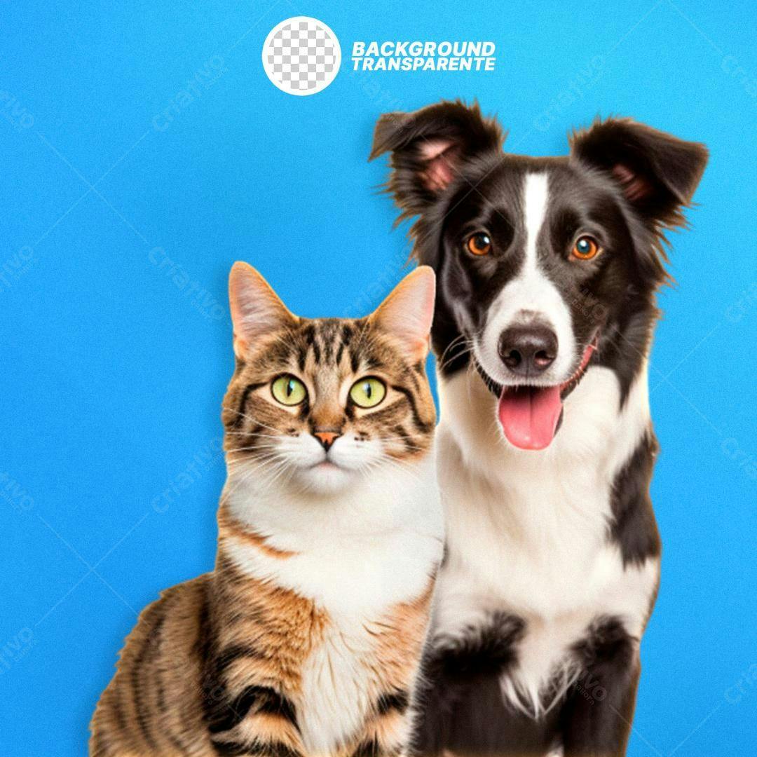 Imagem de Gato e Cachorro PNG com fundo transparente