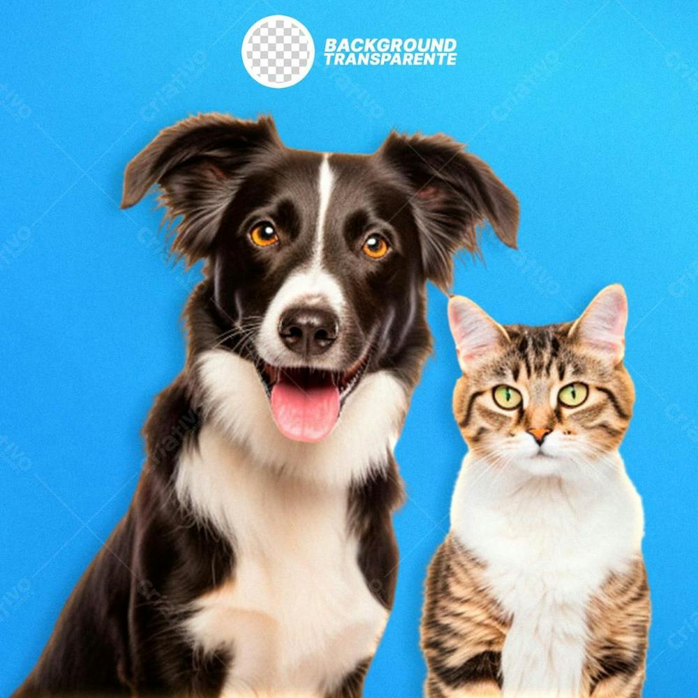 Cachorro E Gato Png Fundo Transparente Em Alta Qualidade