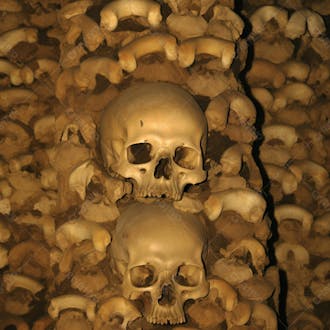 Background de cranios humanos gerado por ia
