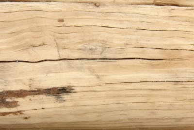 Textura Grátis De Madeira Clara (4)
