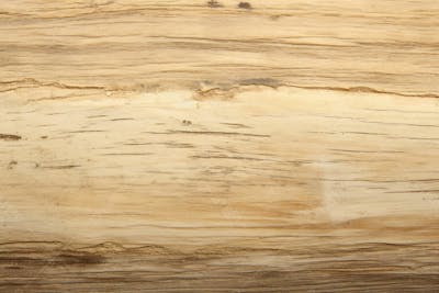 Textura Grátis De Madeira Clara (6)