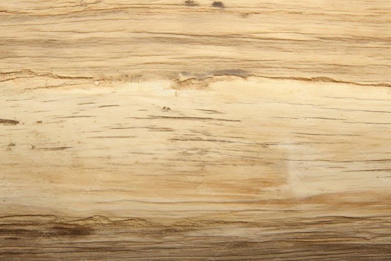 Textura grátis de madeira clara