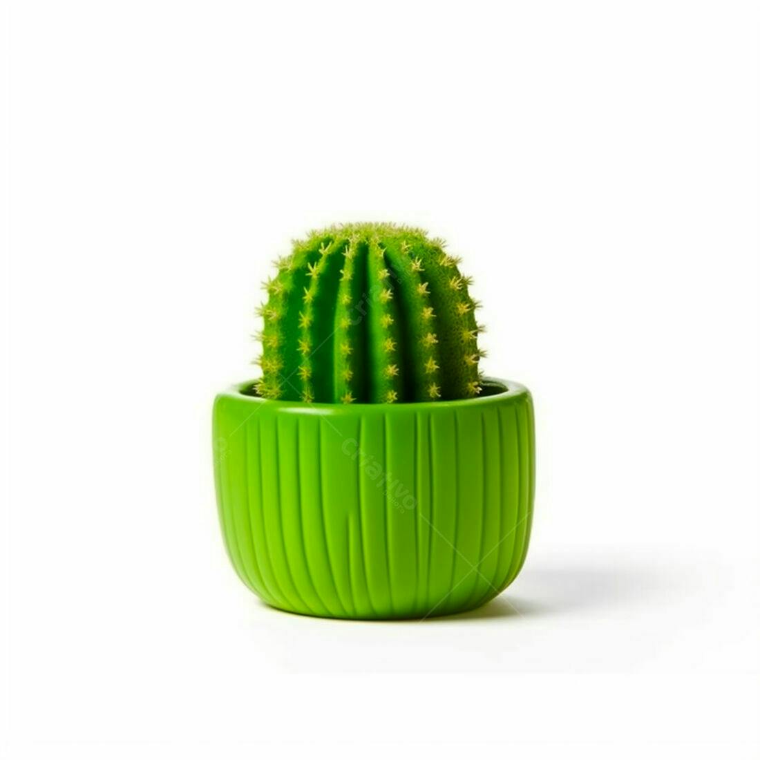 Cacto verde em vaso verde claro