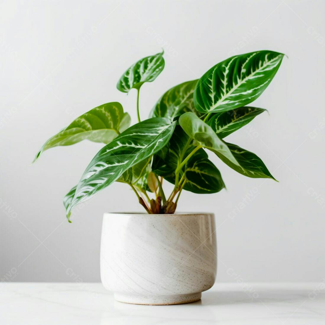 Planta verde em vaso branco decorado