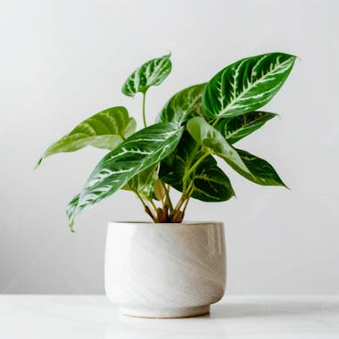 Vaso com planta verde natureza eco