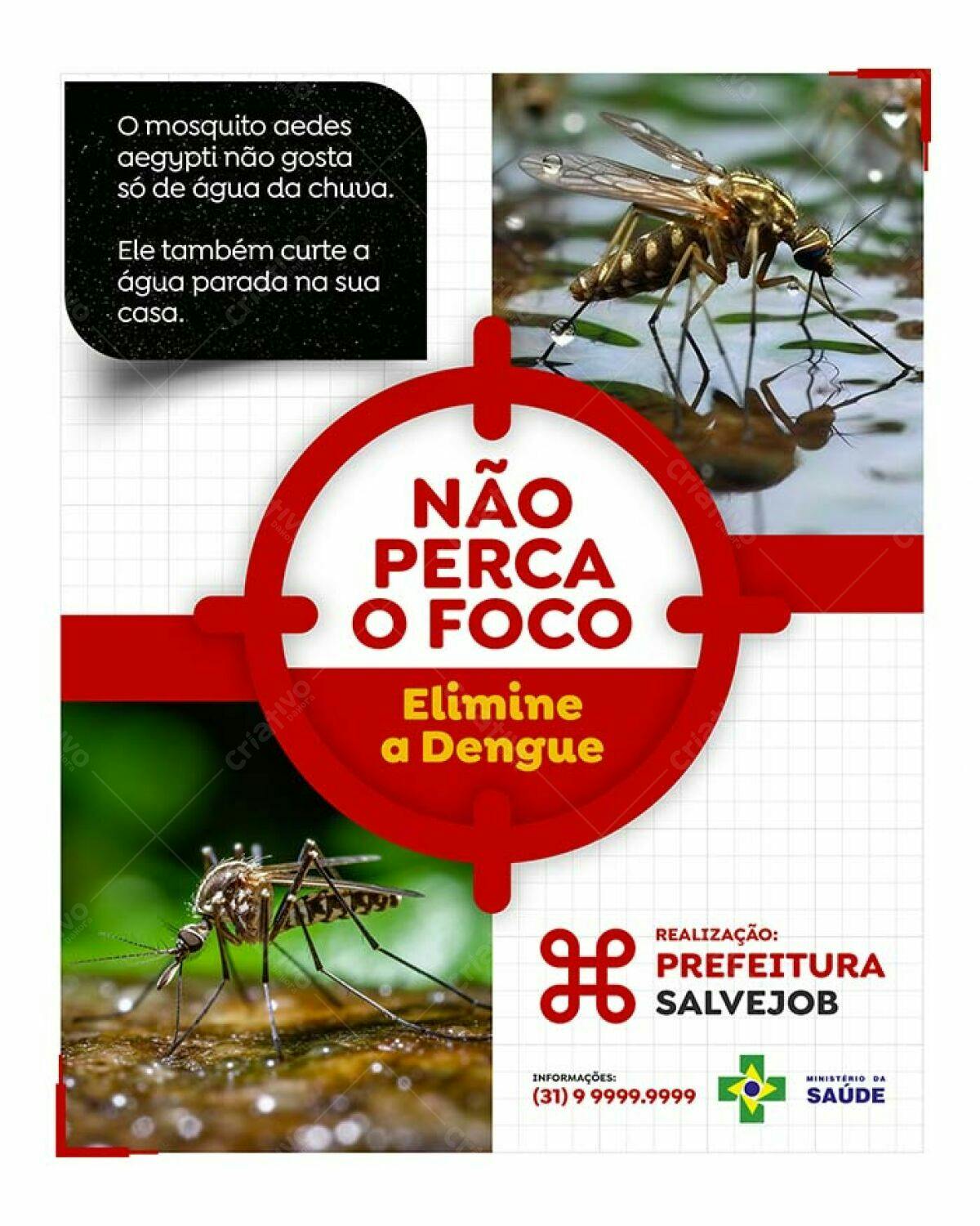 Flyer Combate à Dengue PSD Editável