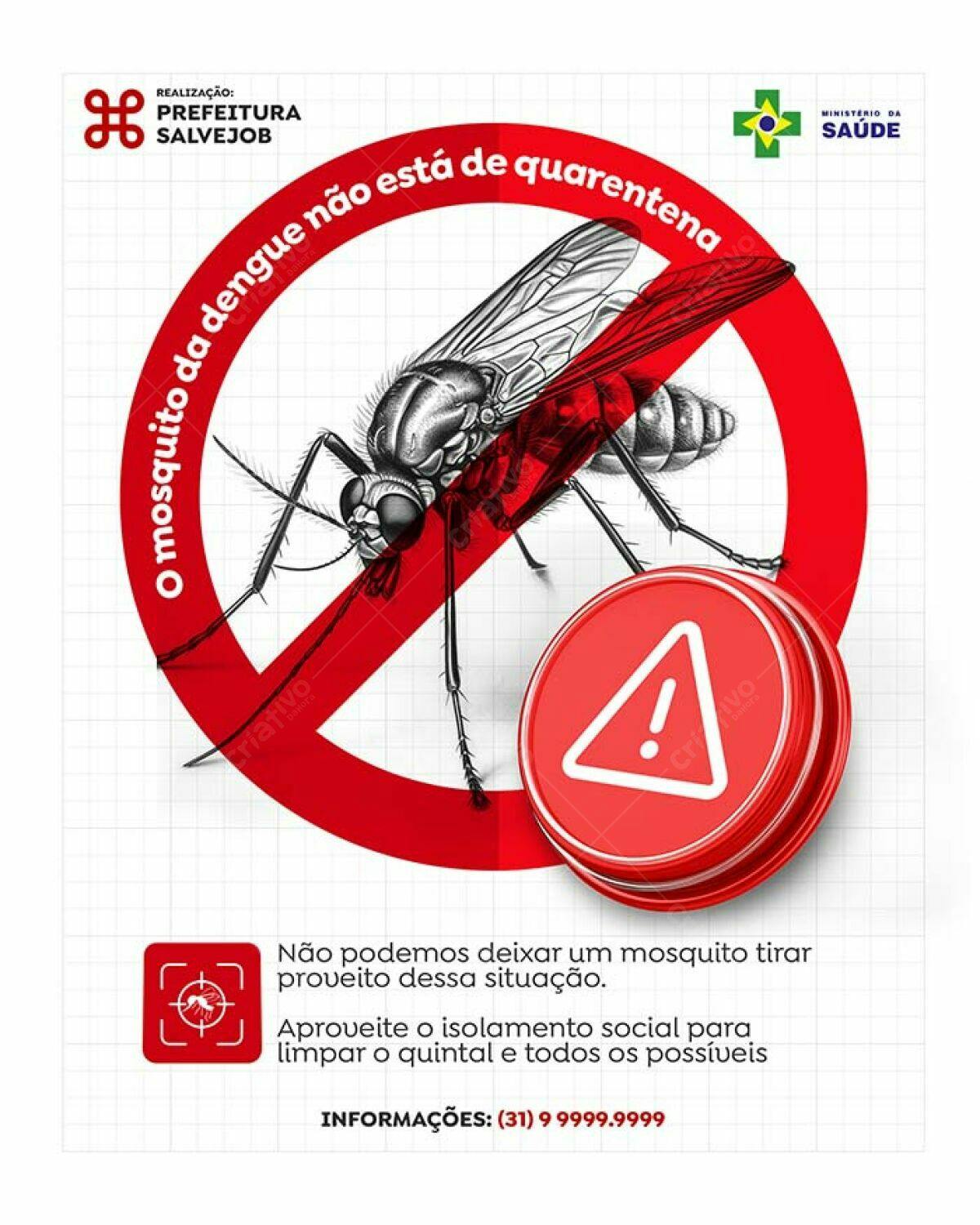 Cartaz Combate à Dengue PSD Editável