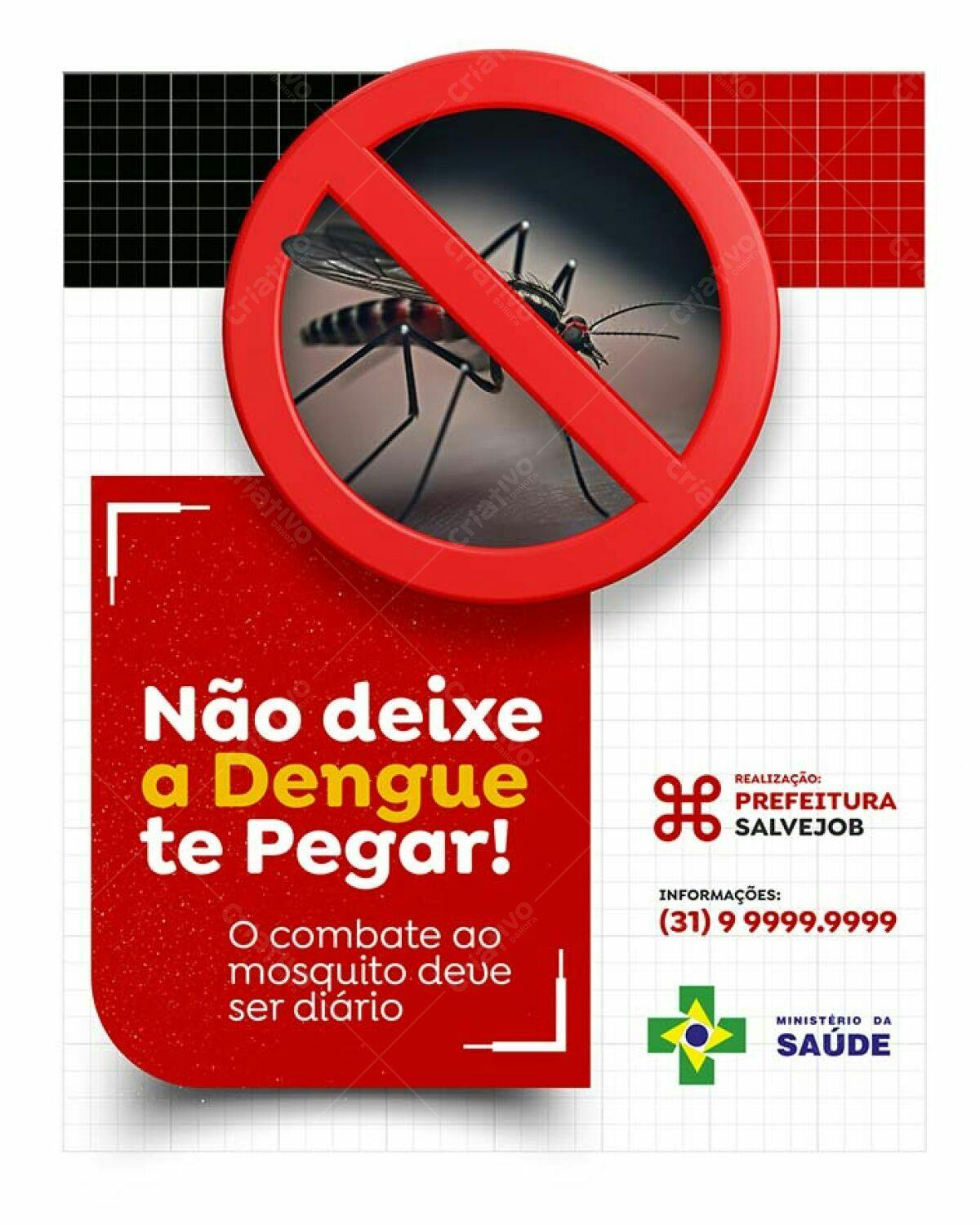Flyer Combate à Dengue PSD Editável