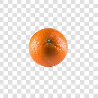 Laranja em fundo transparente png