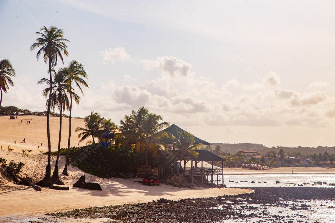 Praia tropical com coqueiros e bar na areia
