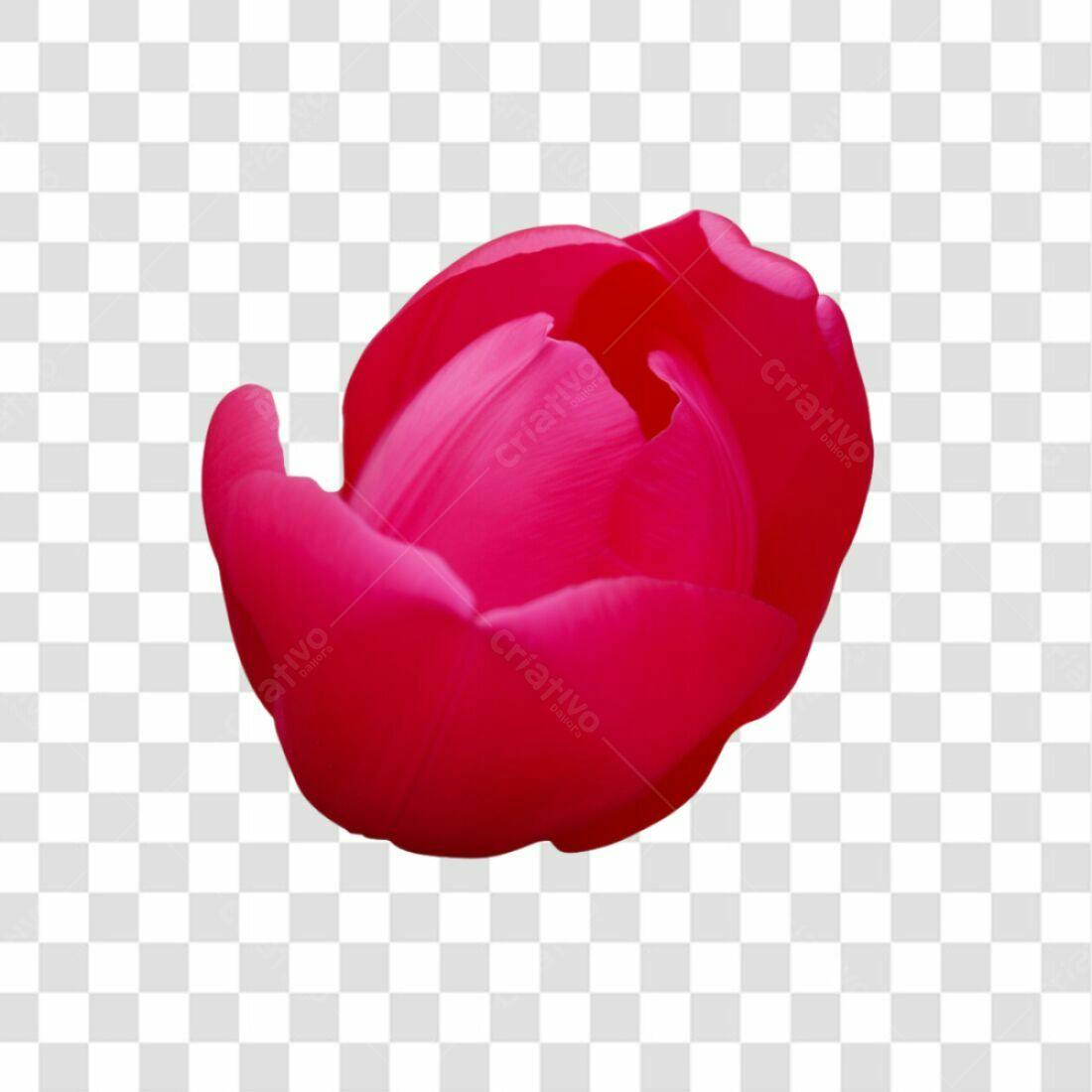 Icone Flor Rosa Dia das Mães PNG com fundo transparente