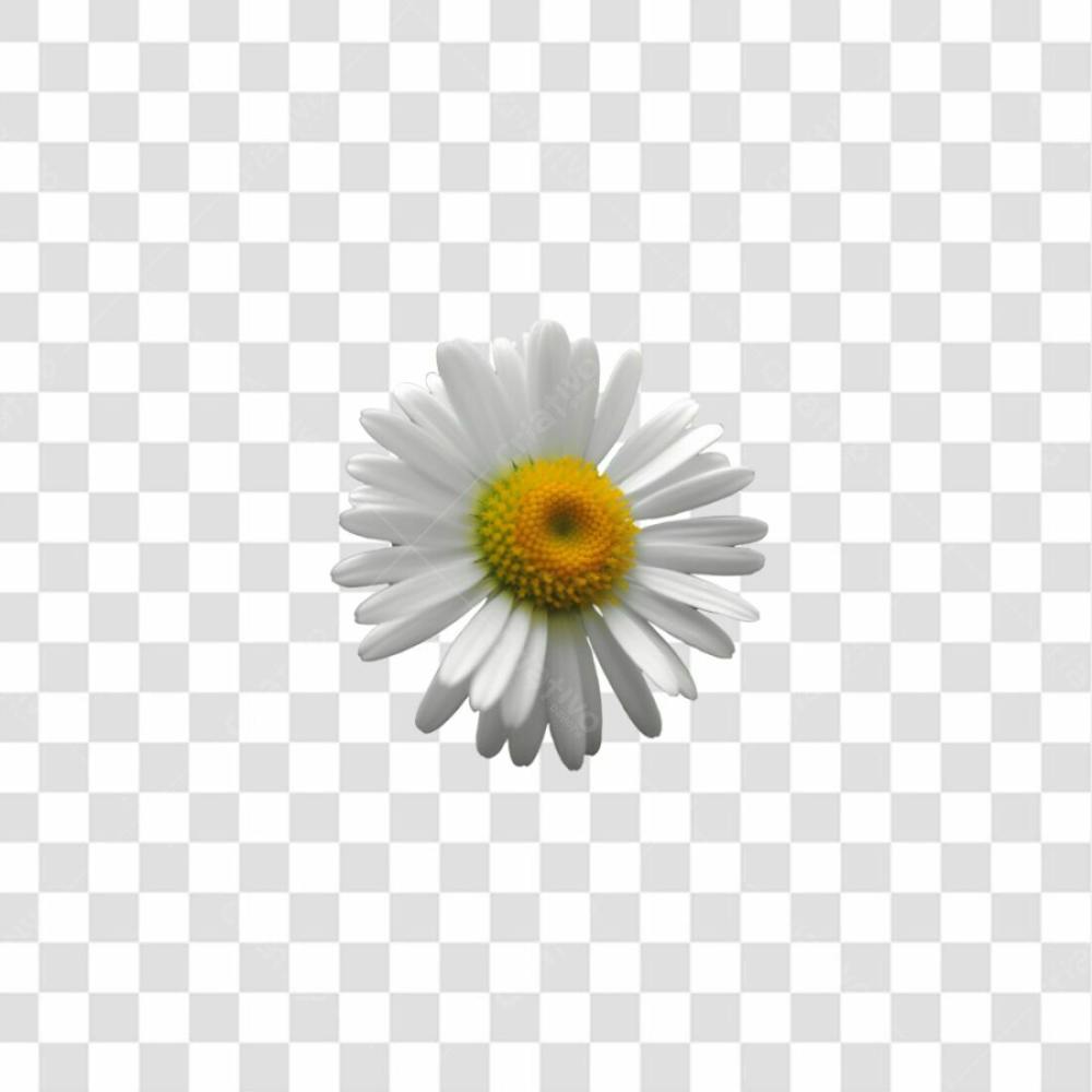 Flor Imagem Grátis Para Download Fundo Transparente Png (12)