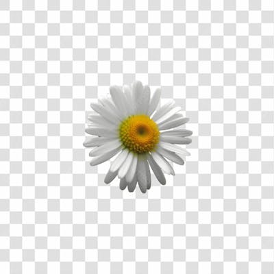 Flor Imagem Grátis Para Download Fundo Transparente Png (12)